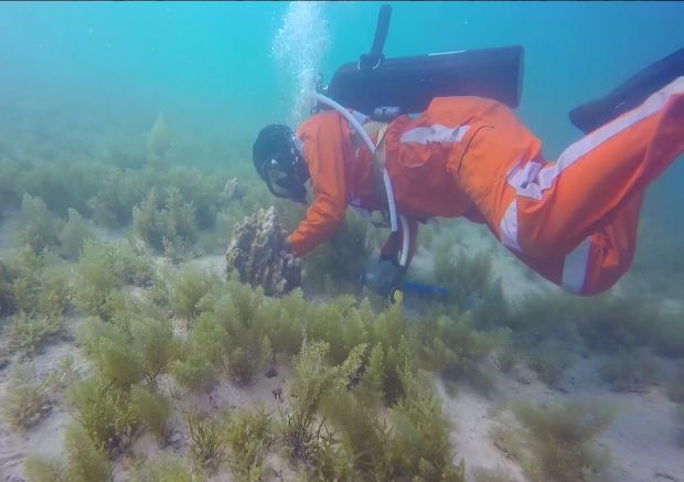 Z6·人生就是博(中国区)官方网站