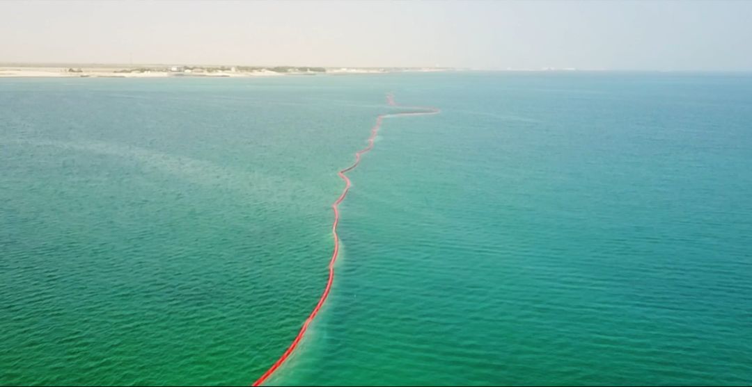 Z6·人生就是博(中国区)官方网站