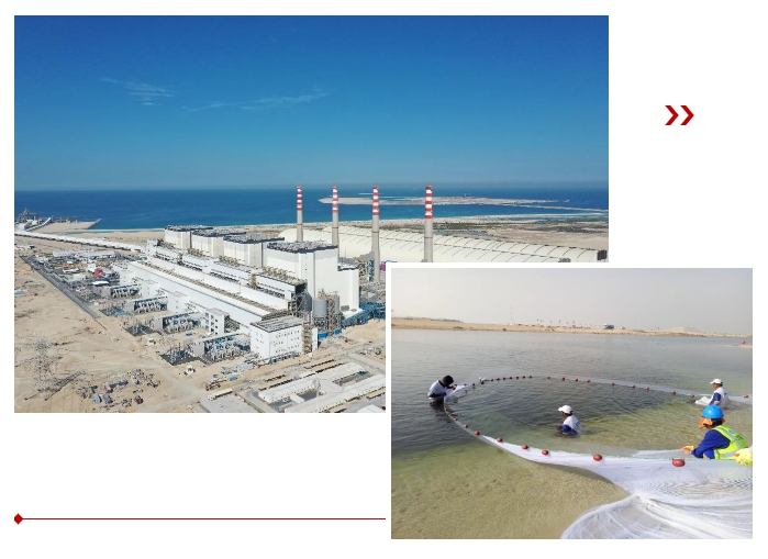 Z6·人生就是博(中国区)官方网站