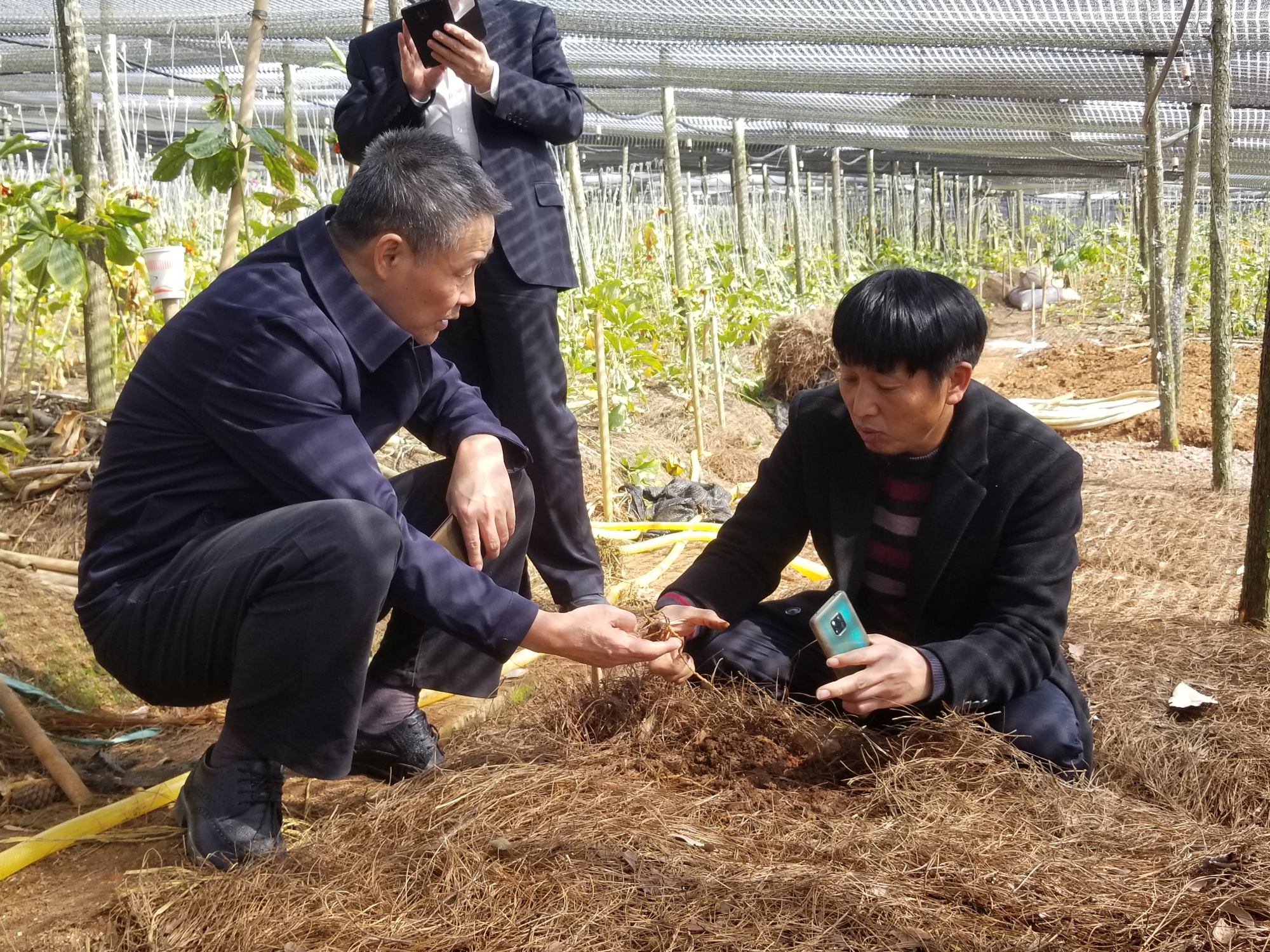 Z6·人生就是博(中国区)官方网站