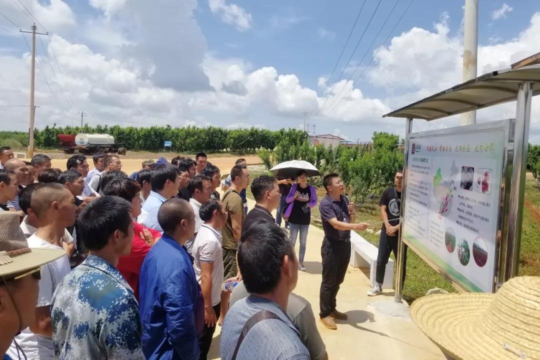 Z6·人生就是博(中国区)官方网站